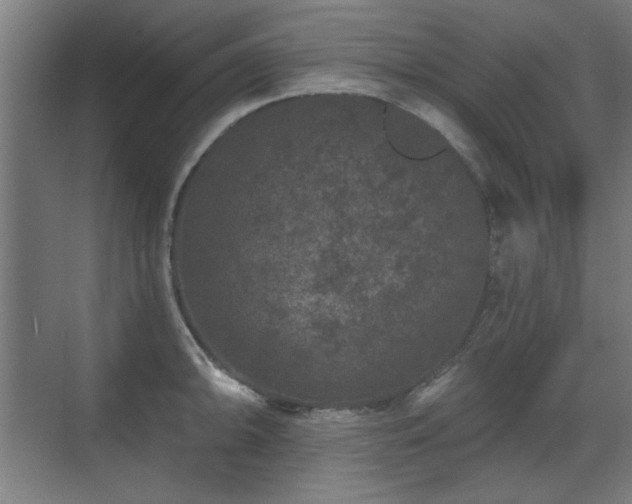 X0000071341094200606261309