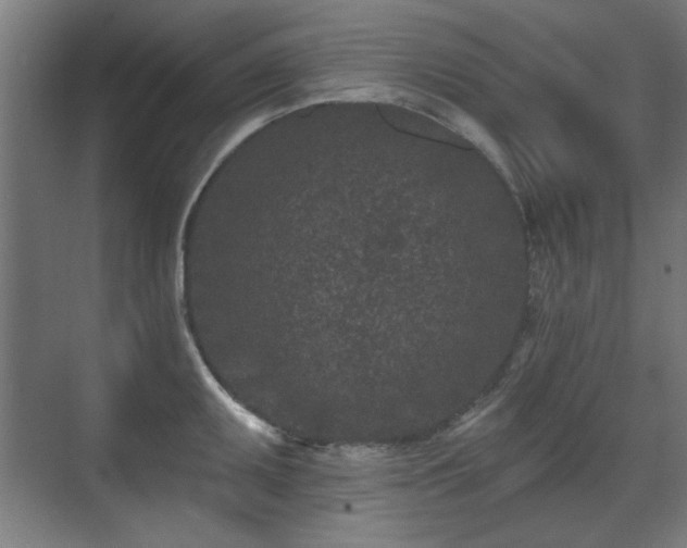 X0000071341095200606261309