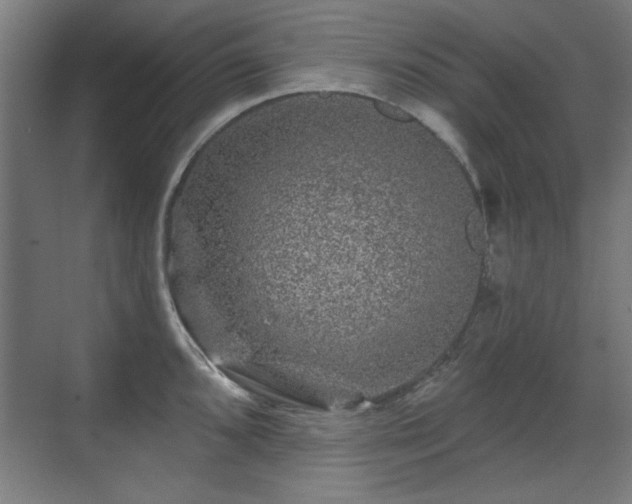 X0000071341096200606261309