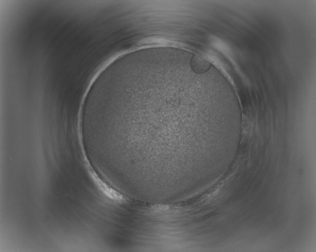 X0000071341098200606261309