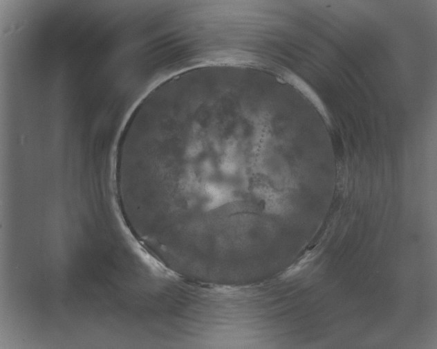 X0000071341099200606261309