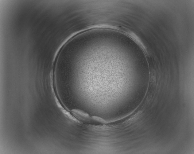 X0000071341100200606261309