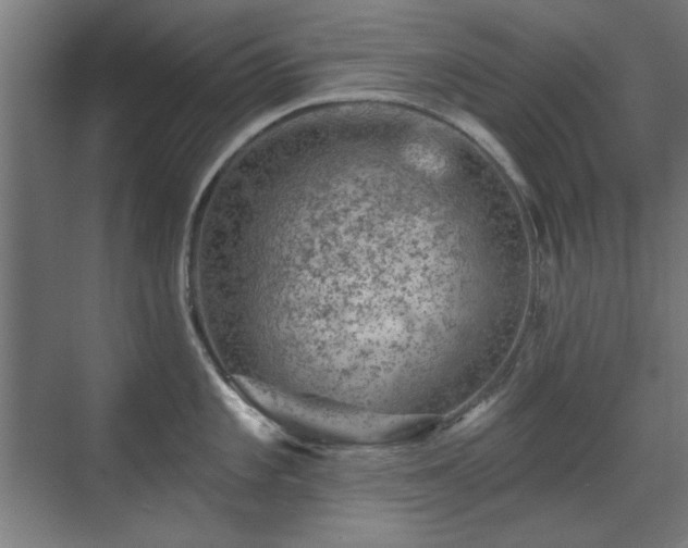 X0000071341101200606261309