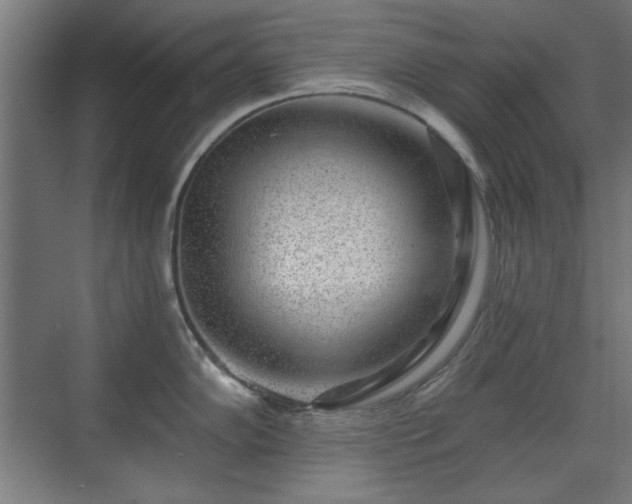 X0000071341102200606261309