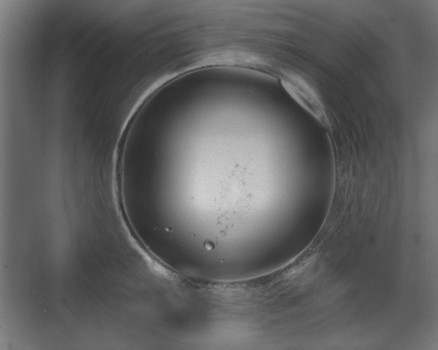 X0000071341103200606261309