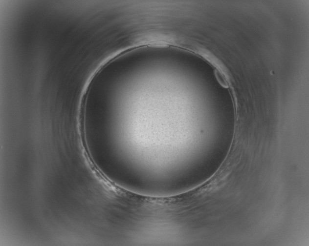 X0000071341104200606261309