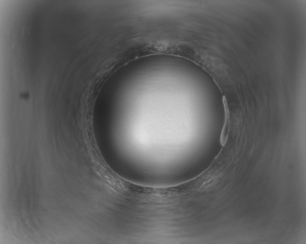 X0000071341105200606261308