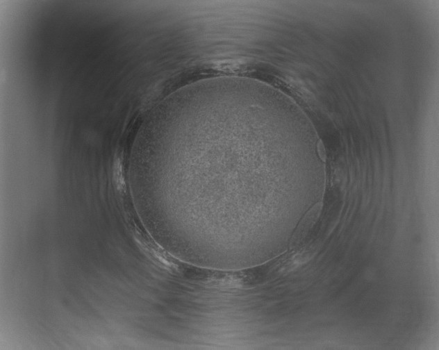 X0000071341106200606261308