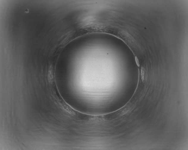 X0000071341107200606261308