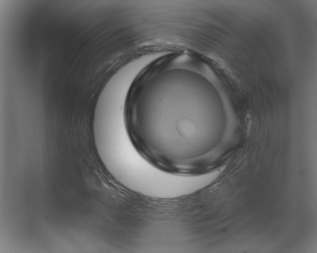 X0000071341110200606261308