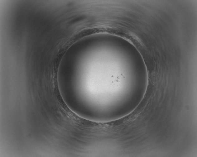 X0000071341111200606261308