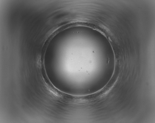 X0000071341113200606261308