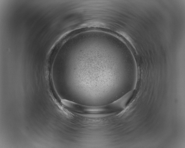 X0000071341115200606261308