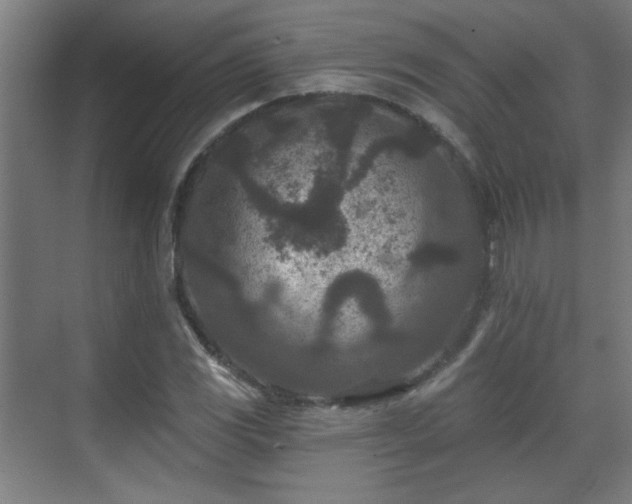 X0000071341117200606261308