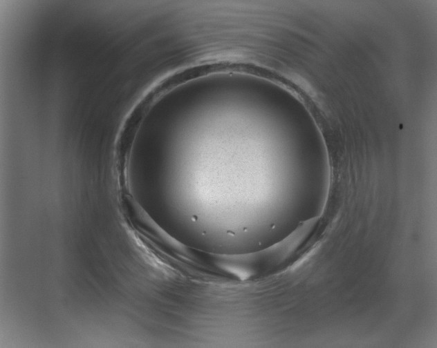 X0000071341118200606261308