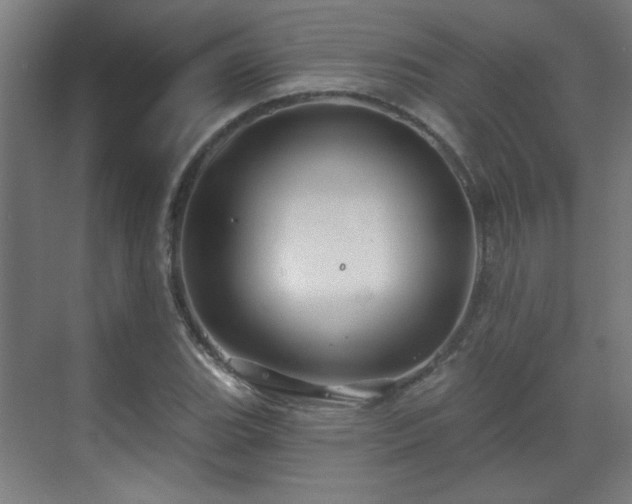 X0000071341119200606261308