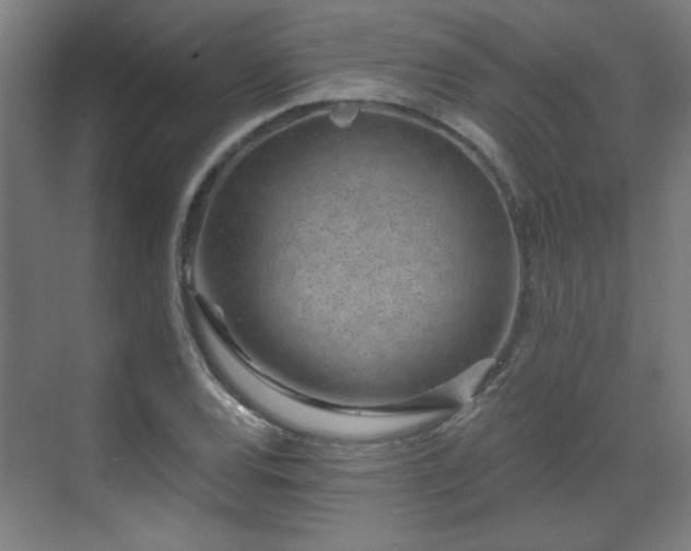 X0000071341120200606261308