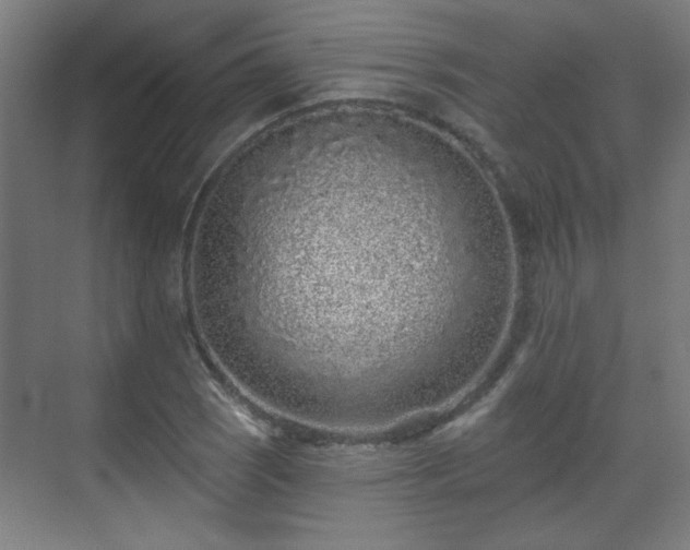 X0000071341121200606261308