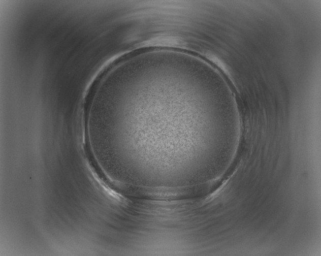 X0000071341123200606261308