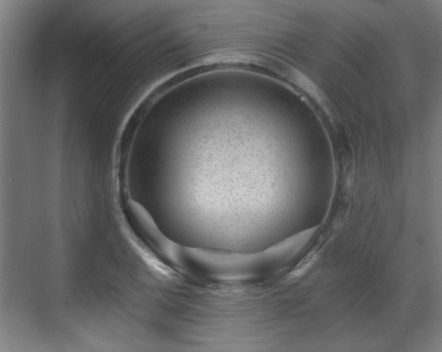 X0000071341124200606261308