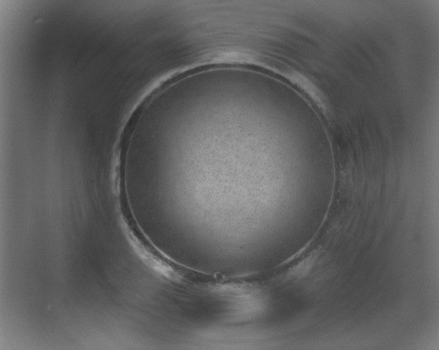 X0000071341126200606261308