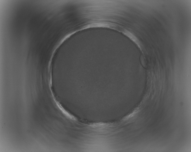 X0000071341127200606261308