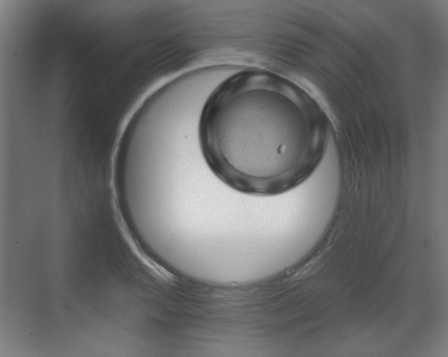 X0000071341128200606261308