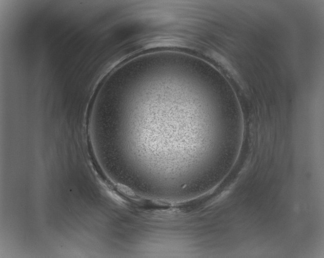 X0000071341129200606261309