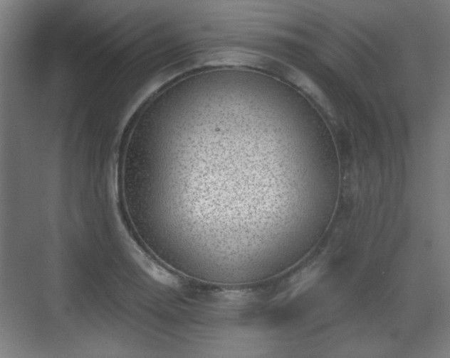 X0000071341130200606261309