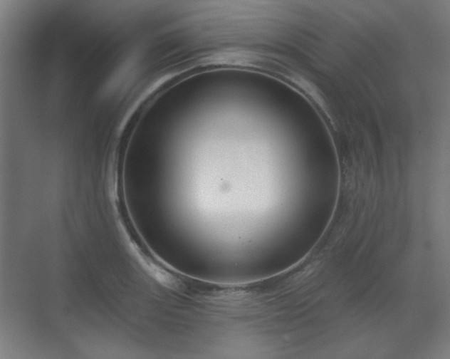 X0000071341131200606261309