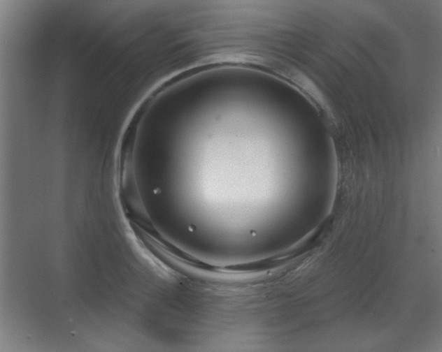 X0000071341132200606261309