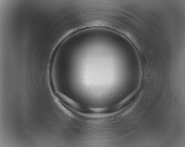 X0000071341134200606261309