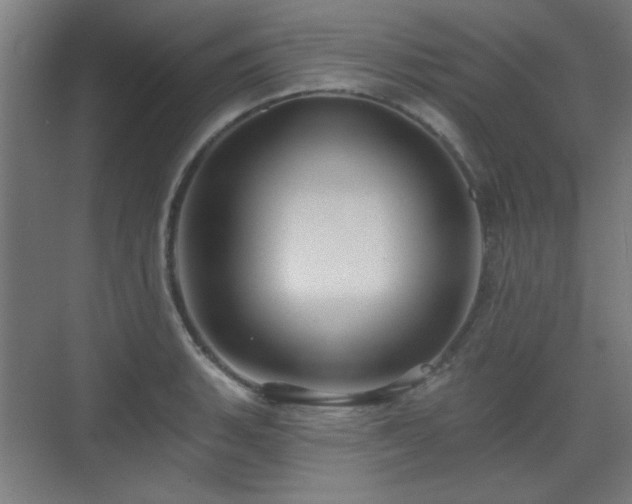 X0000071341135200606261309