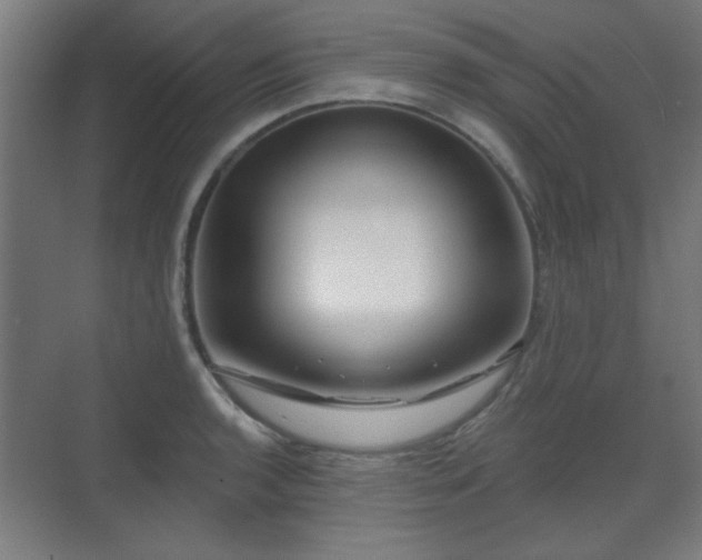 X0000071341136200606261309