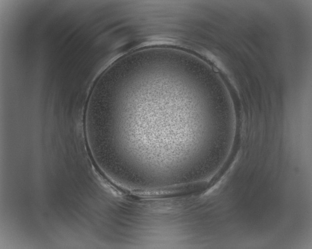 X0000071341137200606261309