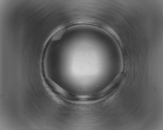 X0000071341138200606261309