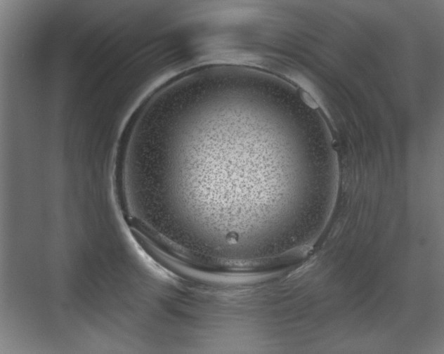 X0000071341139200606261309