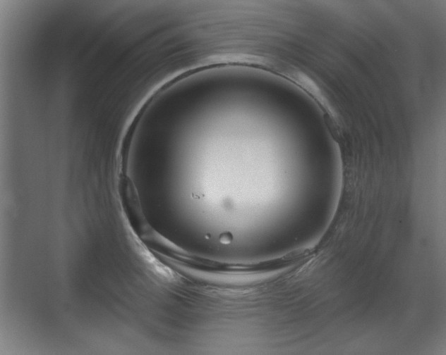 X0000071341140200606261309