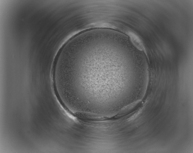 X0000071341141200606261309