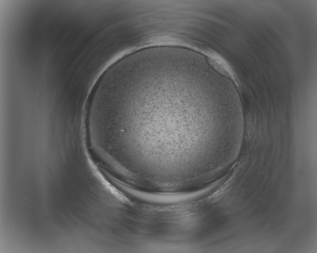 X0000071341142200606261309