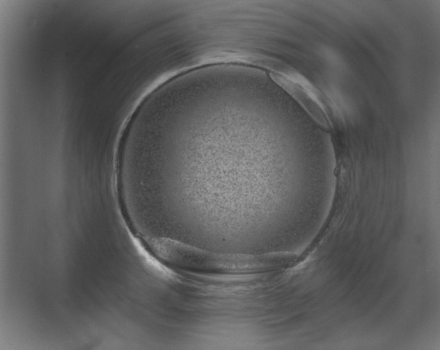 X0000071341143200606261309