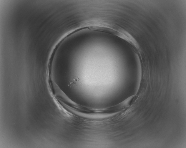 X0000071341144200606261309