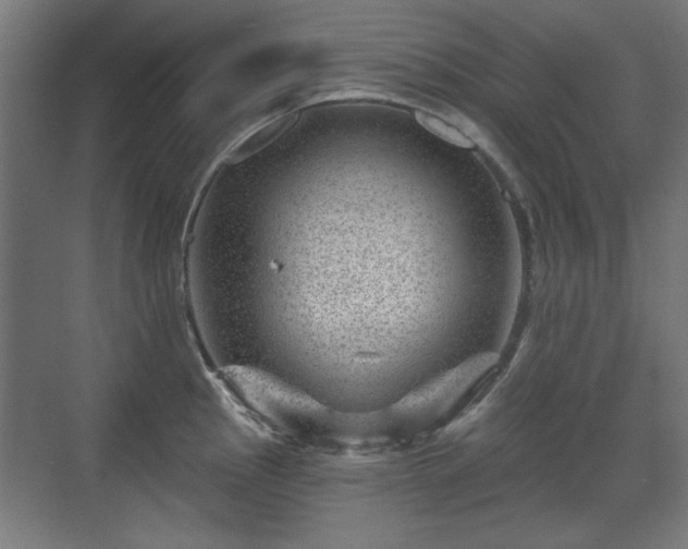 X0000071341145200606261309