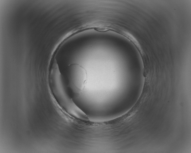 X0000071341146200606261309