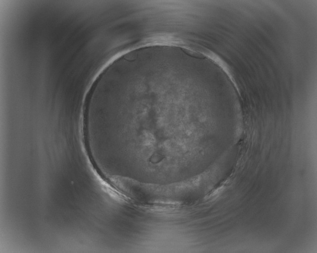 X0000071341147200606261309