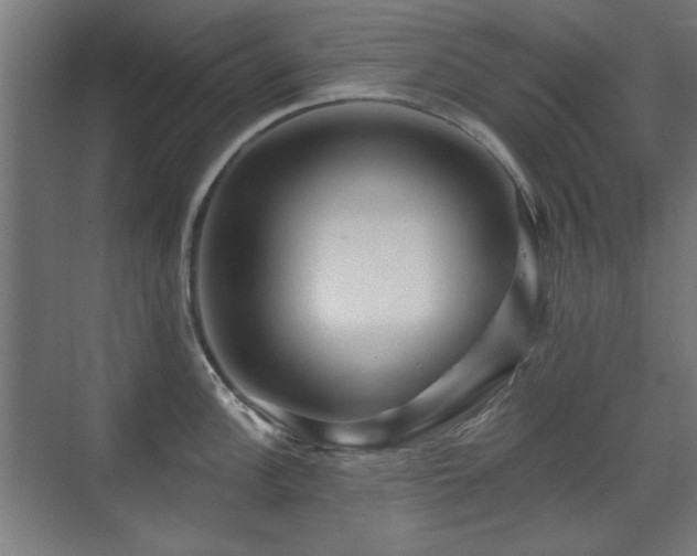 X0000071341148200606261309