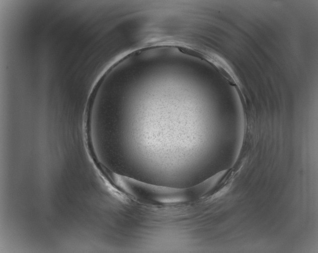 X0000071341149200606261309