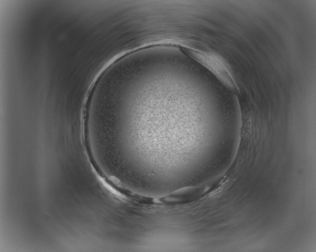 X0000071341151200606261309