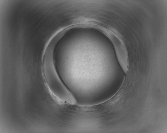 X0000071341152200606261309