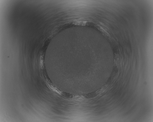 X0000071341154200606261308